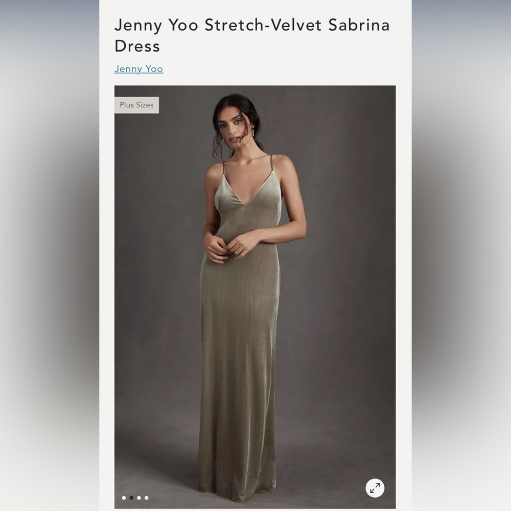 BHLDN Jenny Yoo Stretch-Velvet Sabrina Dress